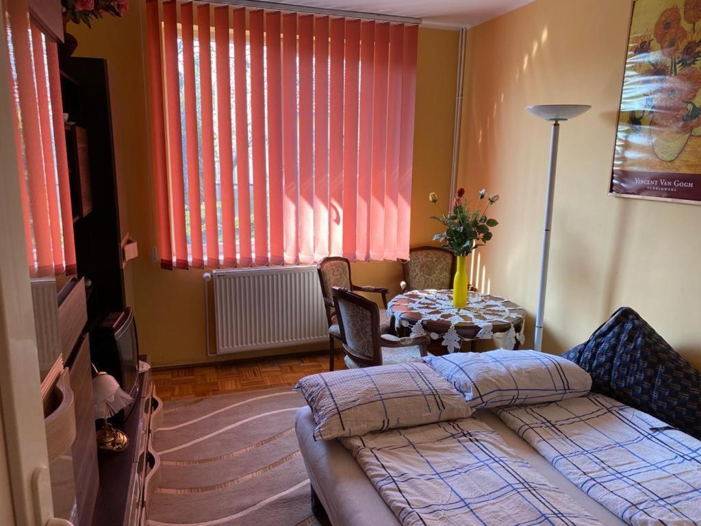 Villa Ani Hajdúszoboszló Exteriér fotografie